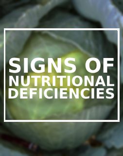 Signs of Nutritional Deficiencies 
